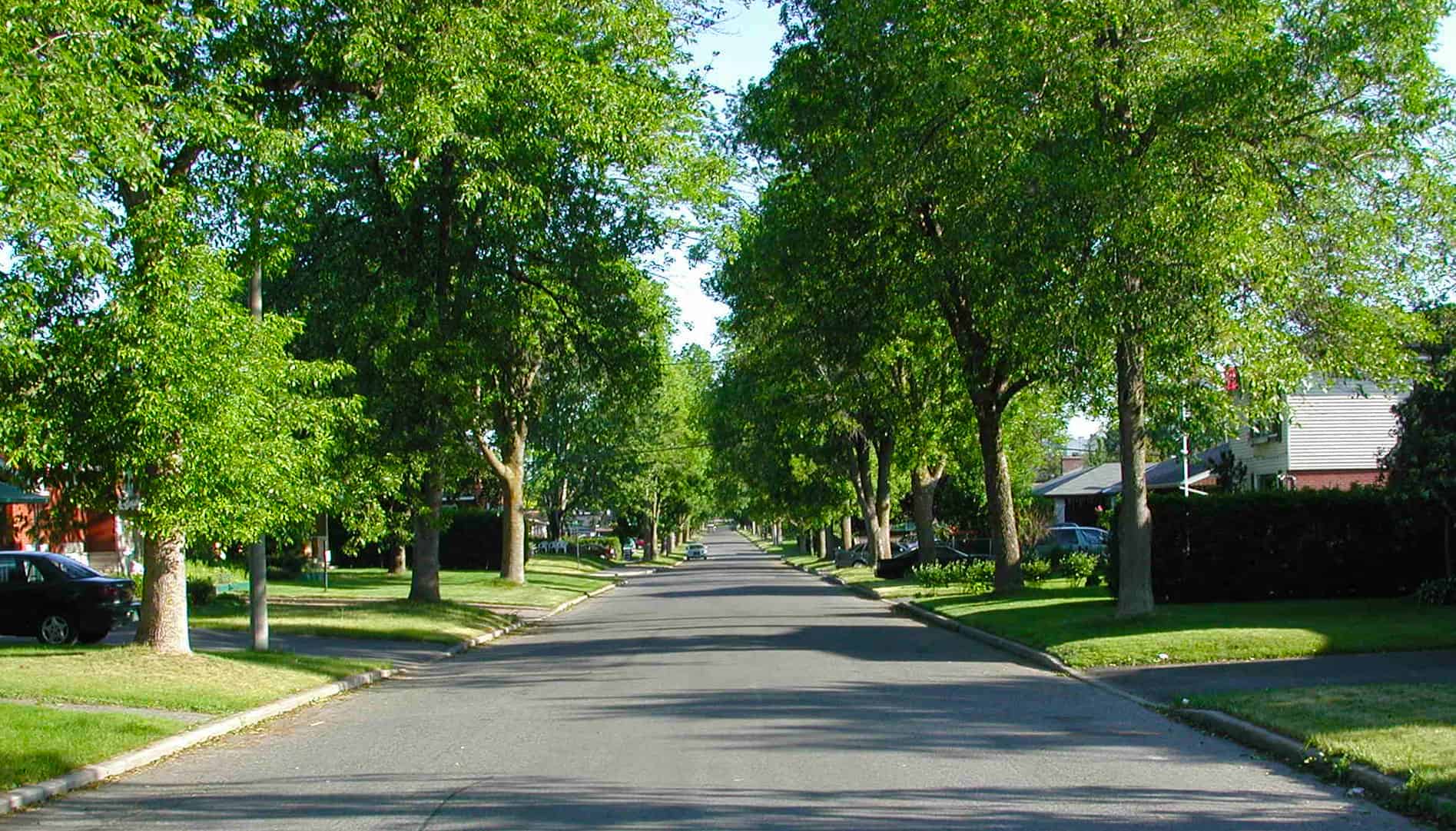 Residential Street Erie Title Agency Inc residential-street-erie-title-agency-inc