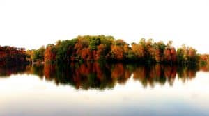 Scenic autumn waterfront forest in NC