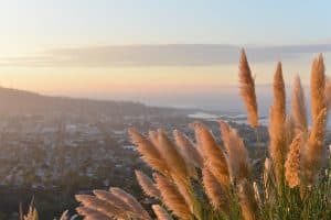 Los Angeles sunrise view of the city and ocean