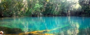 Blue springs
