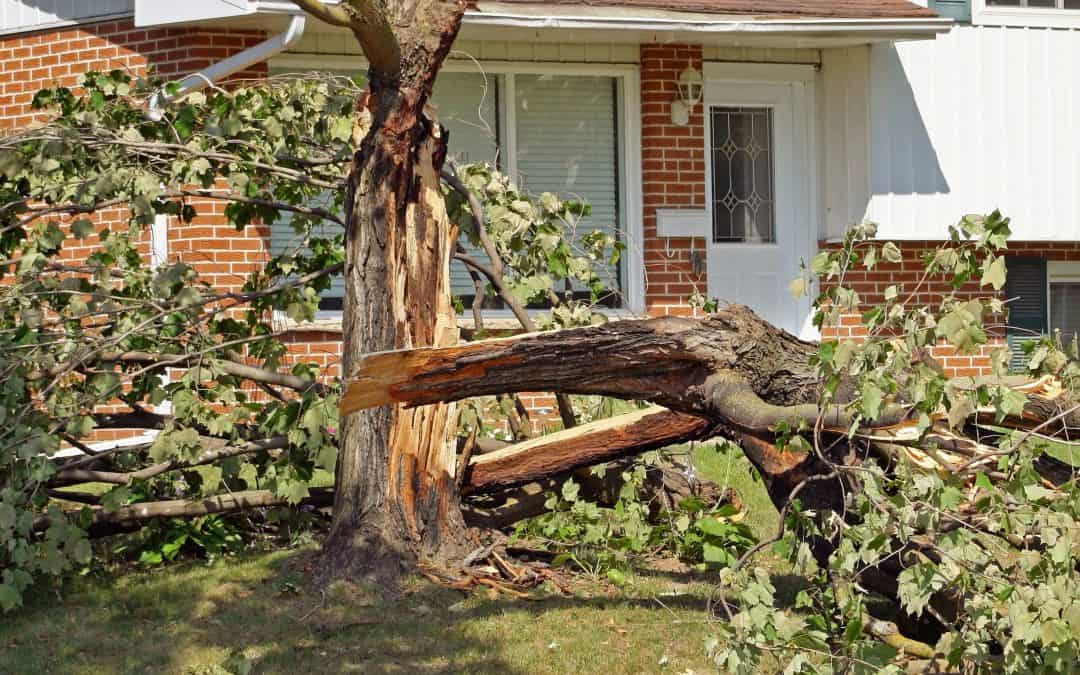 5 Tips If A Storm Damages Your Home