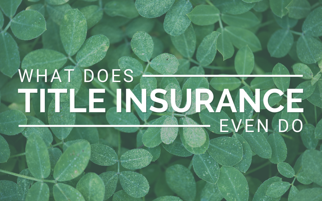 What Does Title Insurance Even Do?